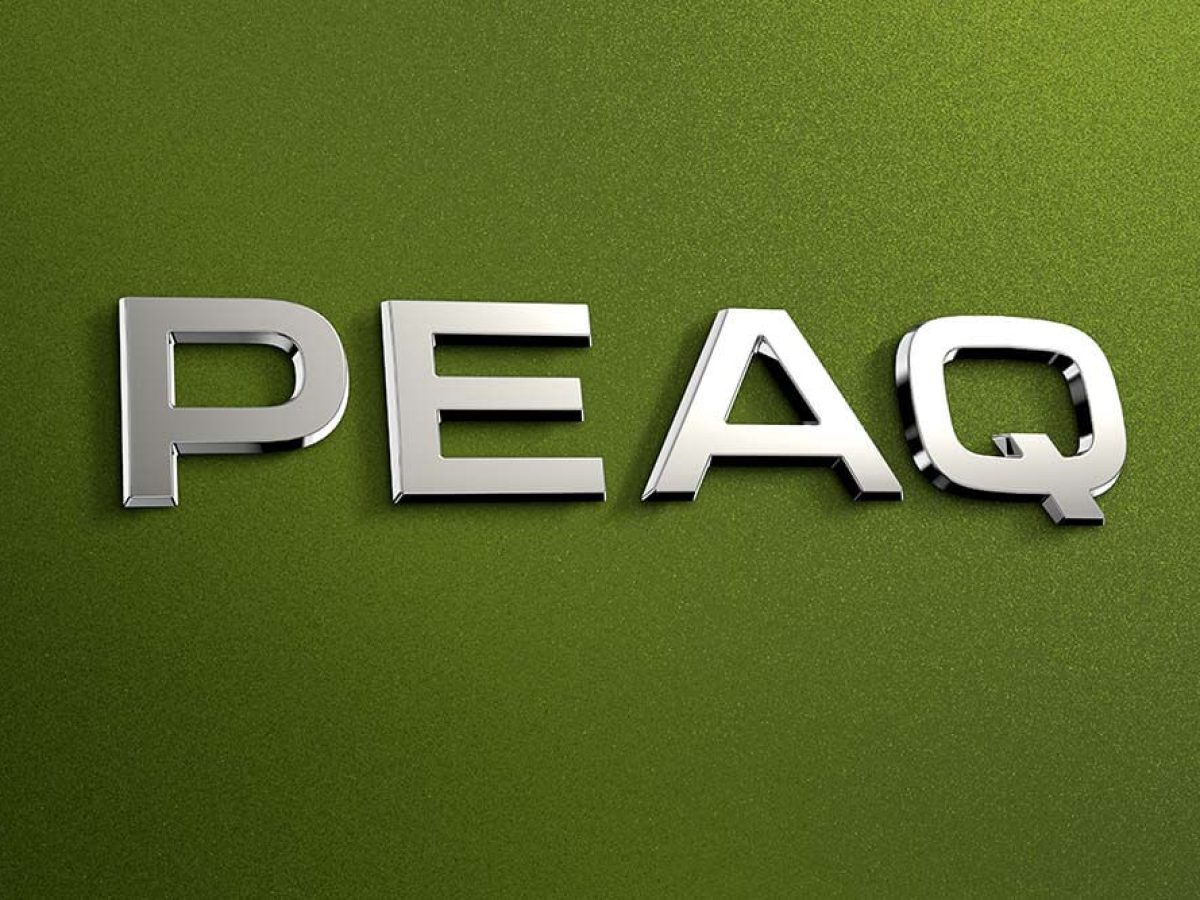 Skoda Peaq: Οι Τσέχοι επιμένουν ηλεκτρικά!