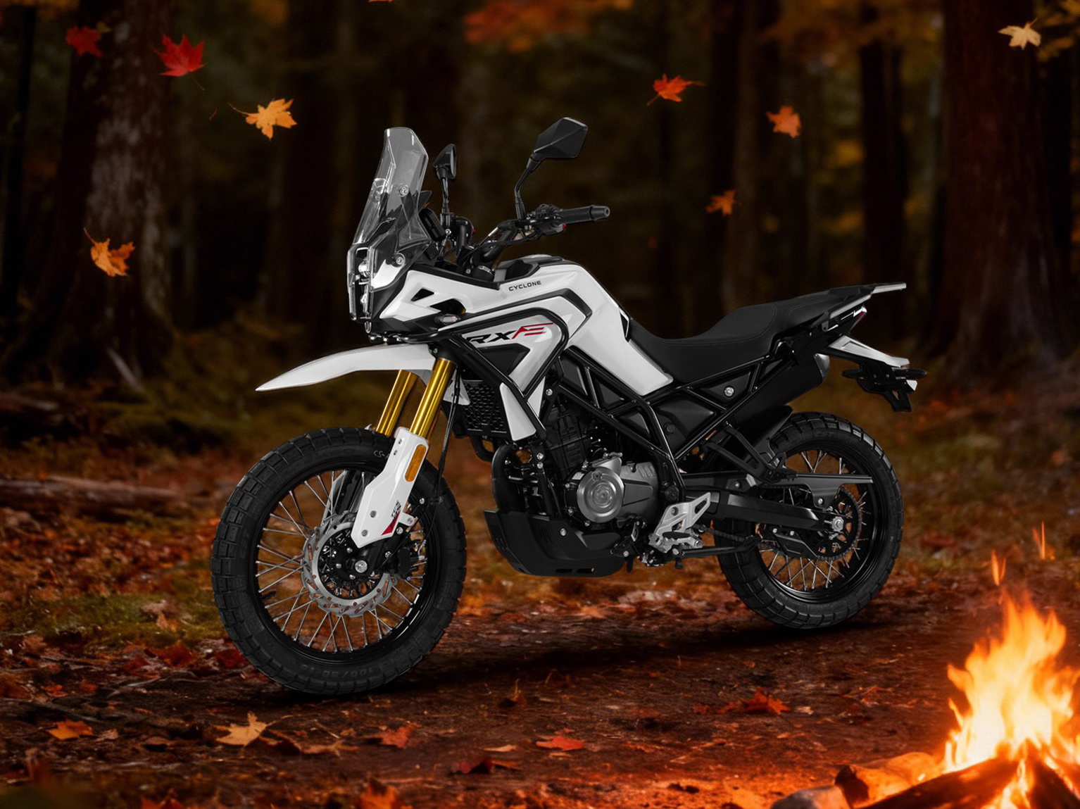 Kymco-Voge-Cyclone-Yadea-Gemini