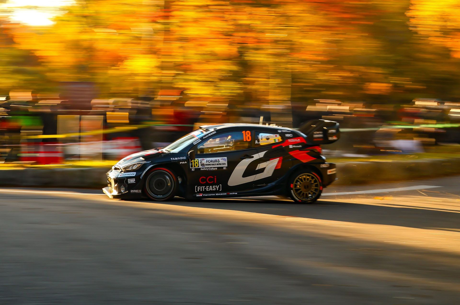 WRC-–-ralli-kanarion-nison